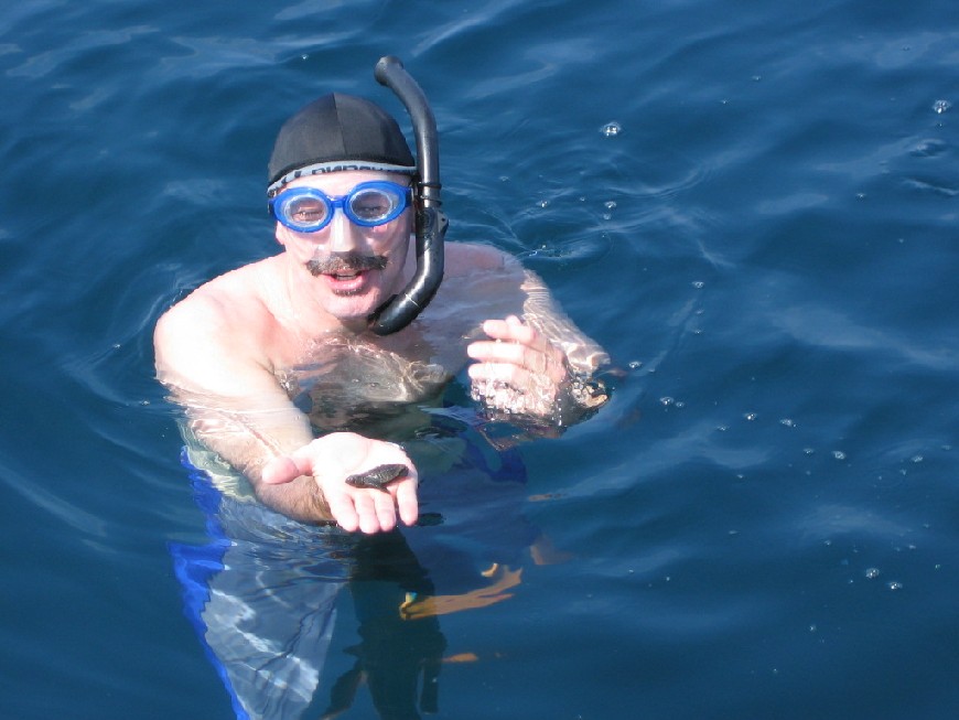 history of gay rights in oren gay cruise vacation